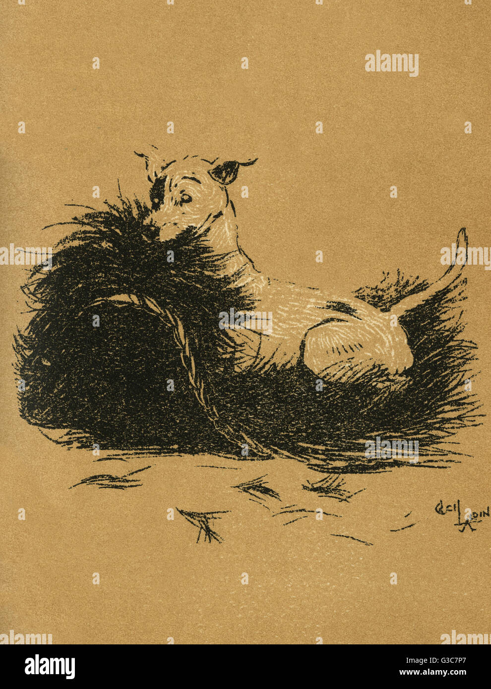 Illustration par Cecil Aldin, Une journée du chien Banque D'Images