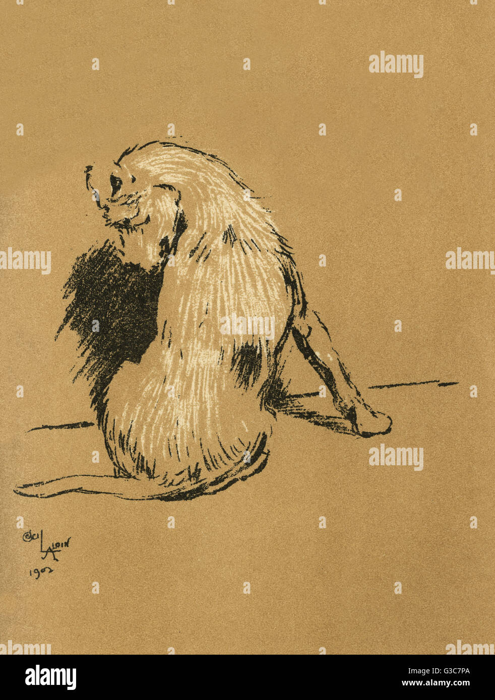 Illustration par Cecil Aldin, Une journée du chien Banque D'Images