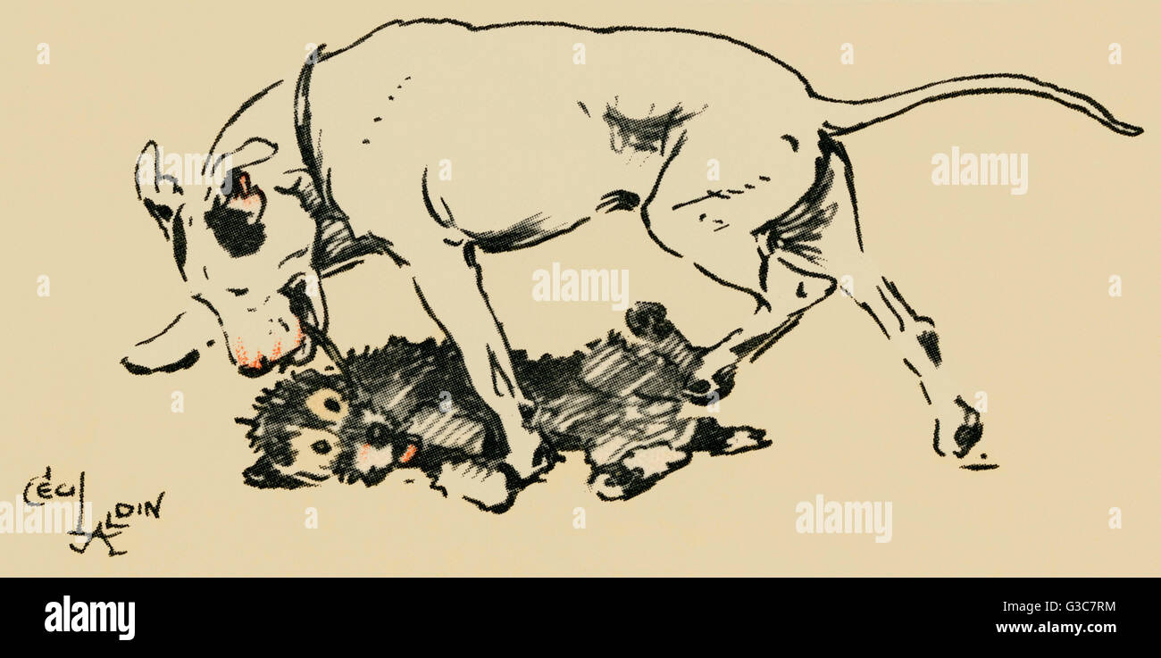 Illustration par Cecil Aldin, Cracker et Bogie Banque D'Images