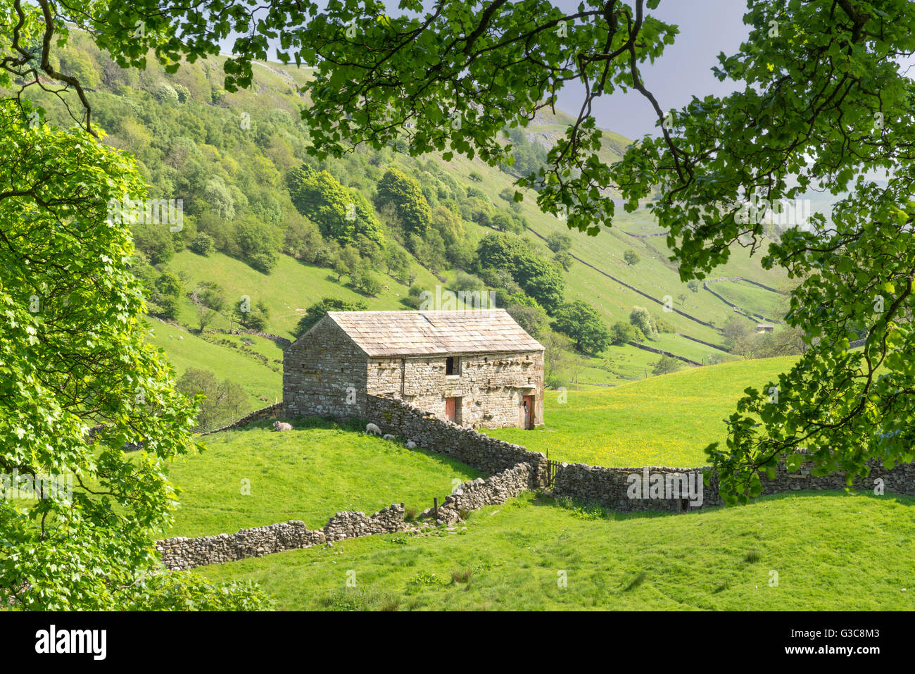 Dales grange à Keld village dans la région de Swaledale, les Vallées du Yorkshire, Angleterre, juin 2016 Banque D'Images