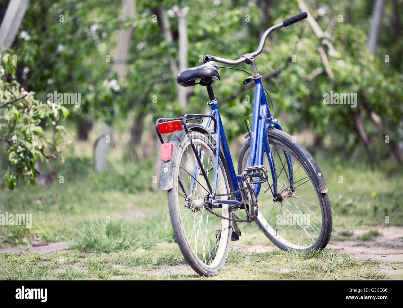 Vieux vélo dans le verger Banque D'Images