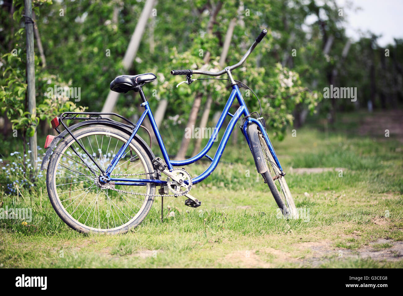 Vieux vélo dans le verger Banque D'Images