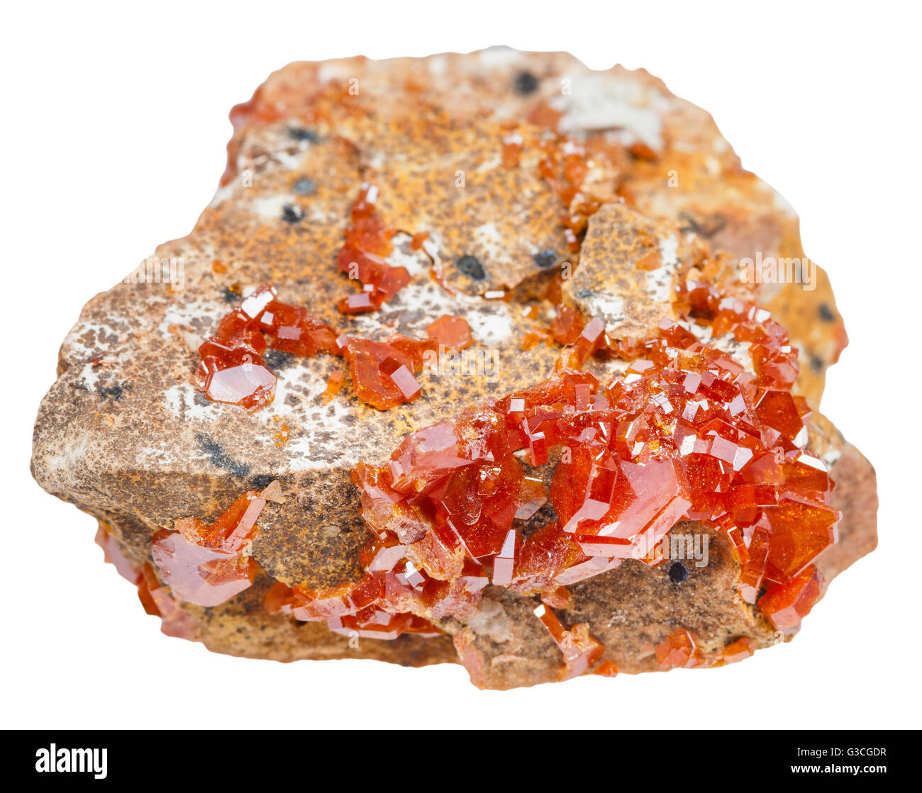 La prise de vue macro des pierres minérales naturelles - des cristaux mâclés la vanadinite rouge (minerai de vanadium) sur rocher isolé sur fond blanc Banque D'Images