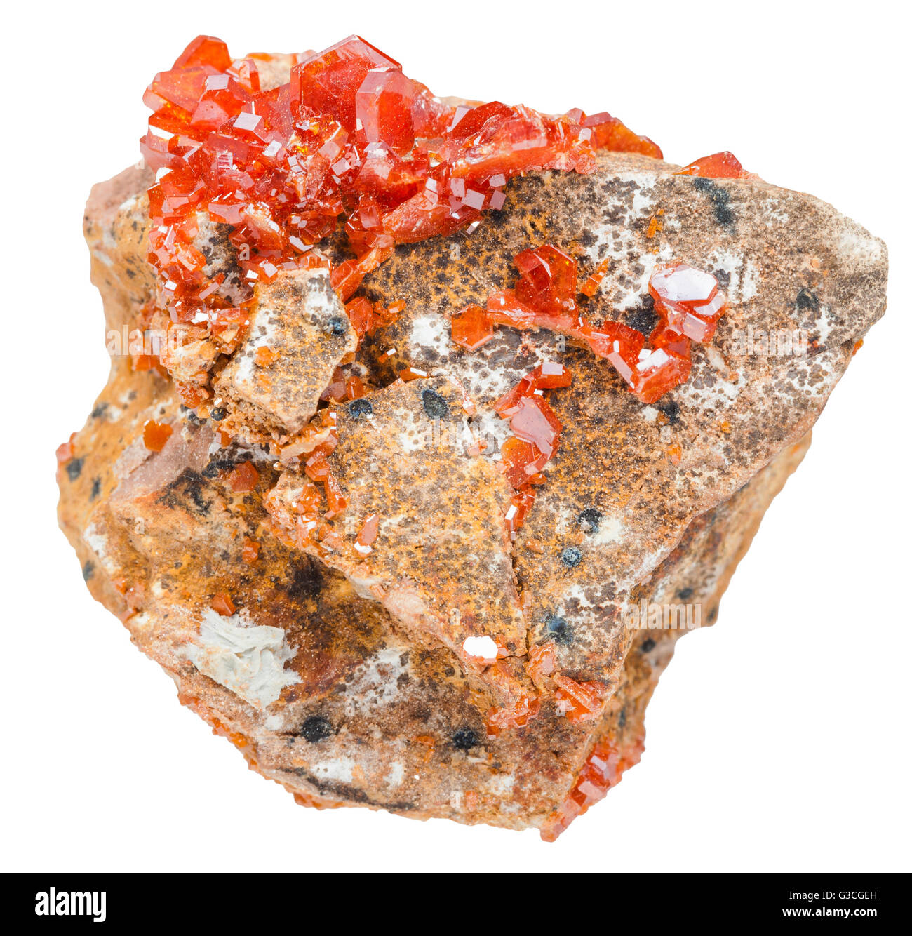 La prise de vue macro des pierres minérales naturelles - la vanadinite rouge cristaux (minerai de vanadium) sur rocher isolé sur fond blanc Banque D'Images