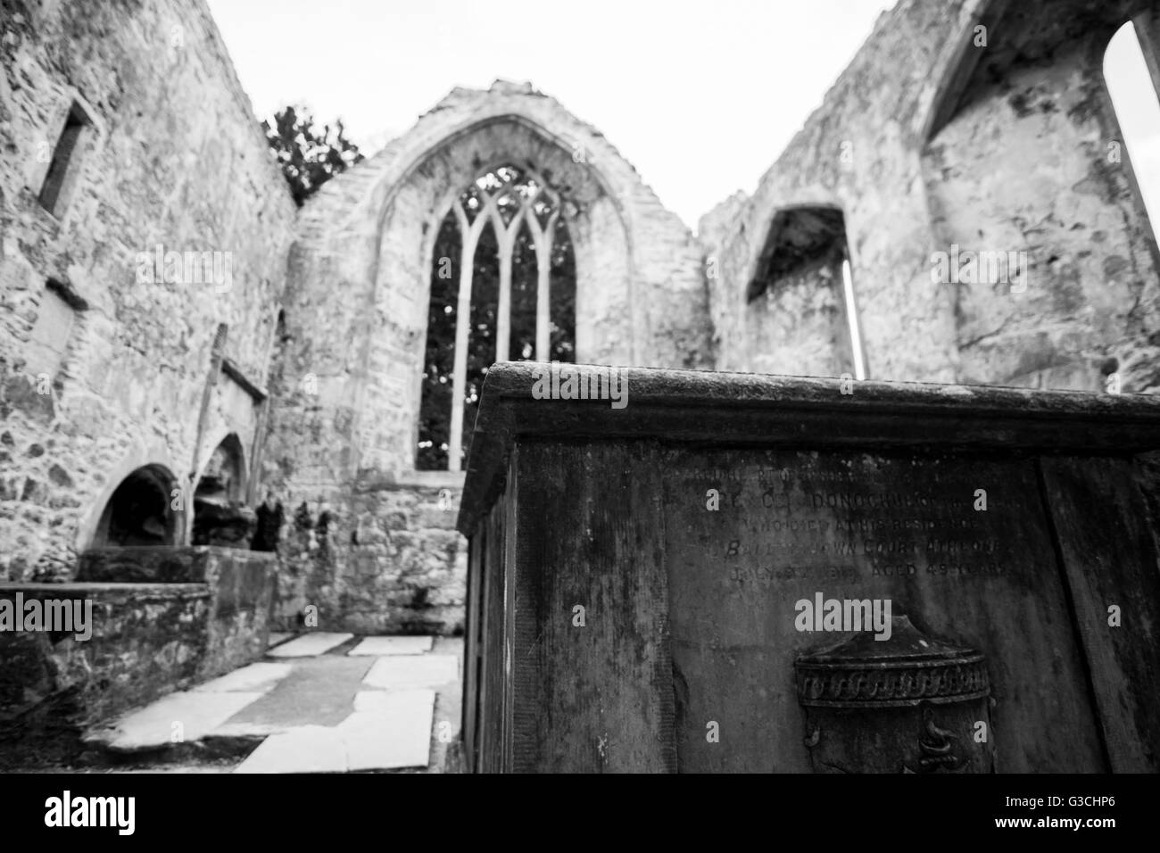 Abbaye de Muckross, le Parc National de Killarney, Irlande Banque D'Images