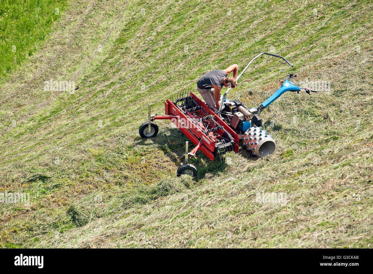 La faneuse sur des pâturages de montagne Banque D'Images