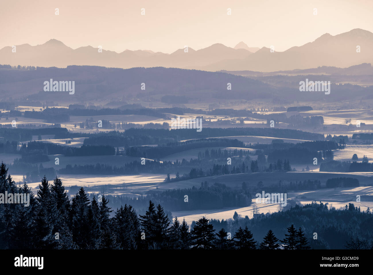 Contreforts des Alpes à Sunshine, Allemagne, Bavière, Allgäu, hill, vallonné, split tone, bleu, blanc, jaune, paysage Banque D'Images