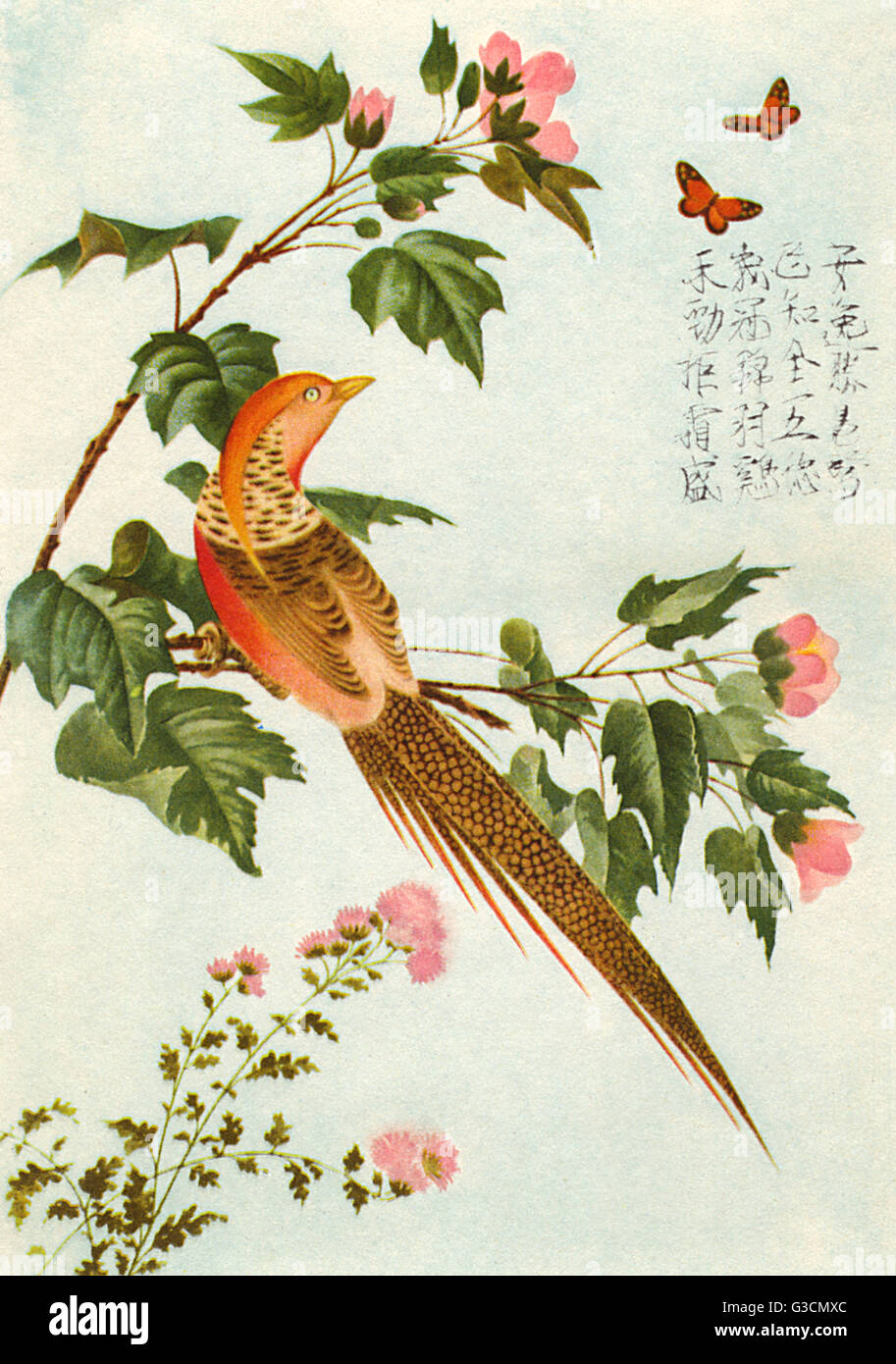 Art chinois, oiseau sur une branche avec des papillons et des fleurs Banque D'Images