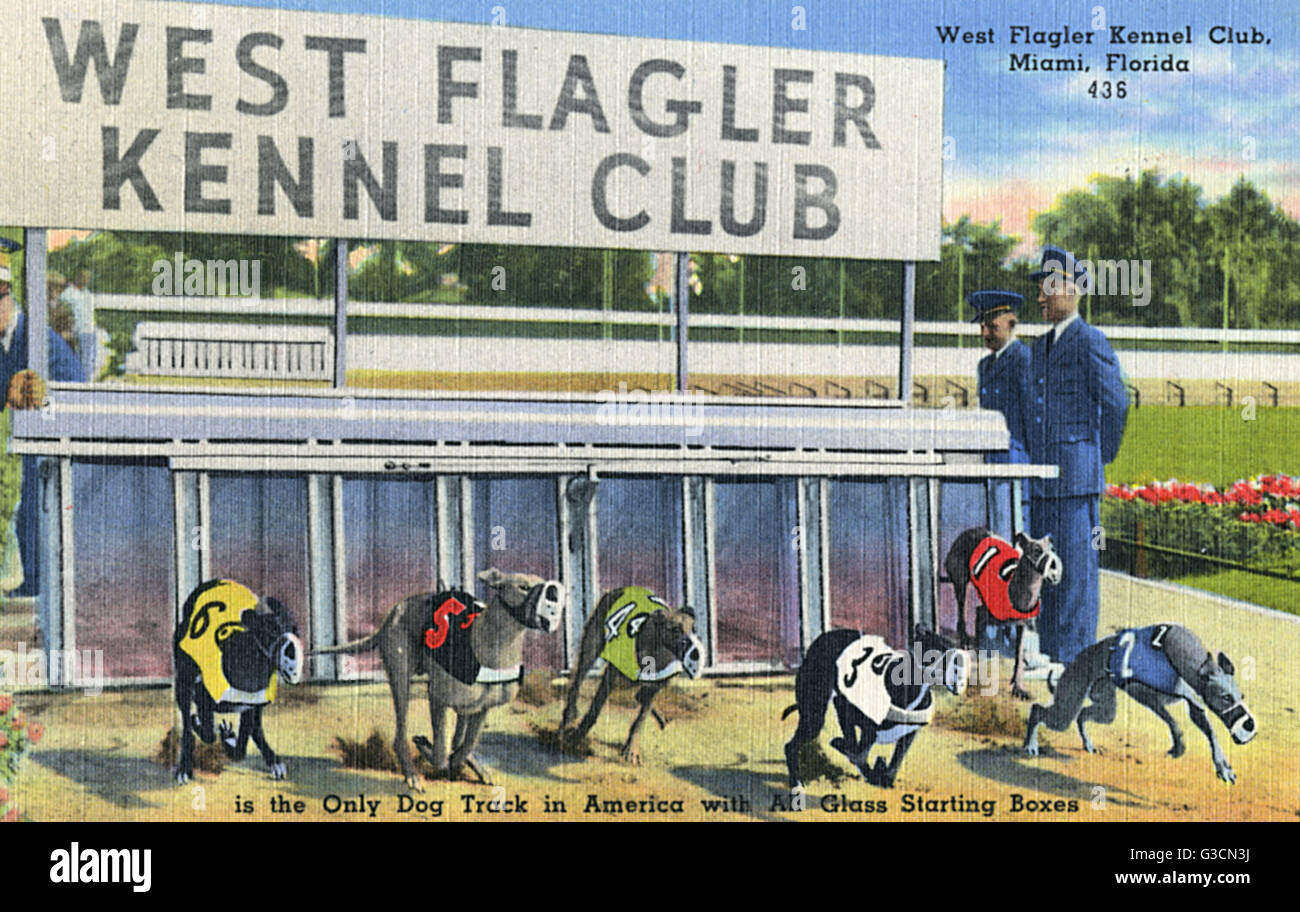 West Flagler Kennel Club, Miami, Floride, États-Unis Banque D'Images