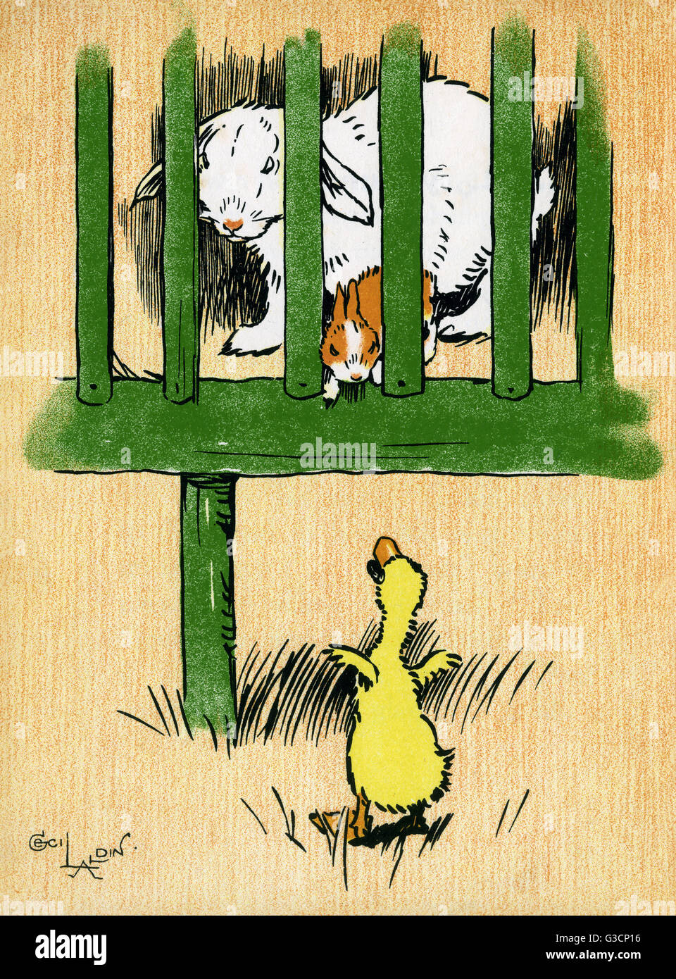Illustration Par Cecil Aldin Ferme Les Bebes Montrant Une Mere Un Bebe Lapin Lapin Et Un Canard Decimus Caneton Decimus Veut Que Le Jeune Bunny De Venir Jouer Mais La Mere De