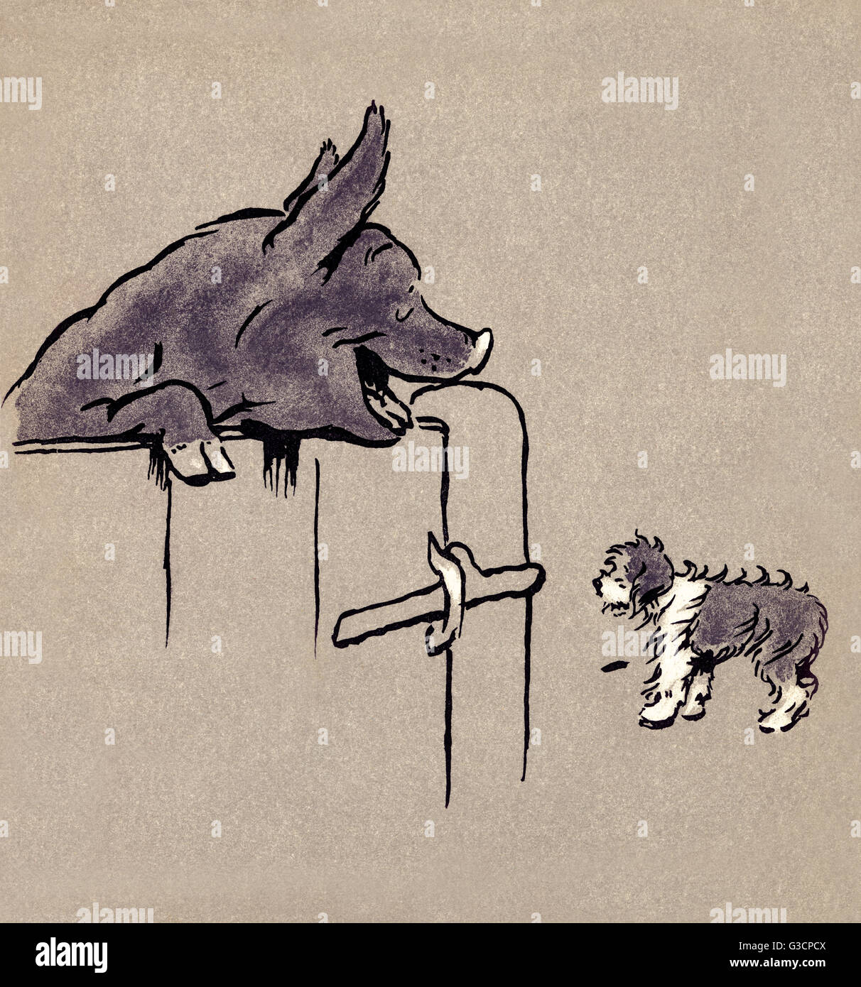 Illustration par Cecil Aldin, le livre de chiots Bobtail Banque D'Images Illustration par Cecil Aldin, le livre de chiots Bobtail Banque D'Images