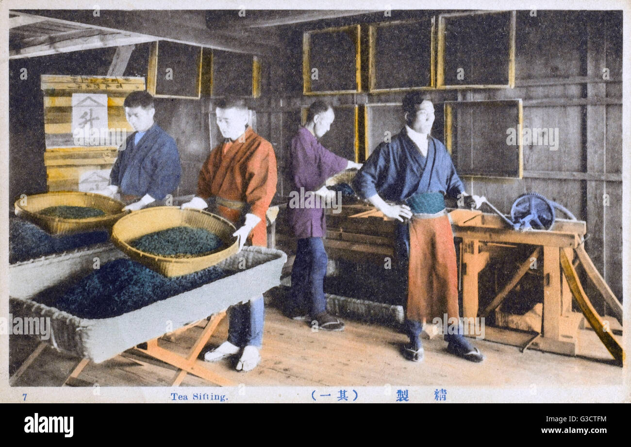 Japon - Industrie du thé - tamisage du thé Banque D'Images