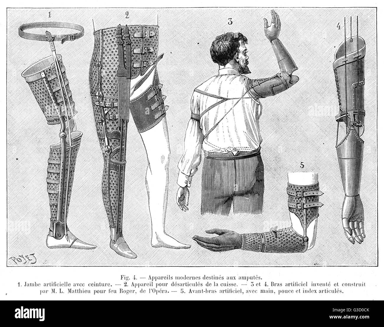 Jambe et bras artificiels Banque D'Images