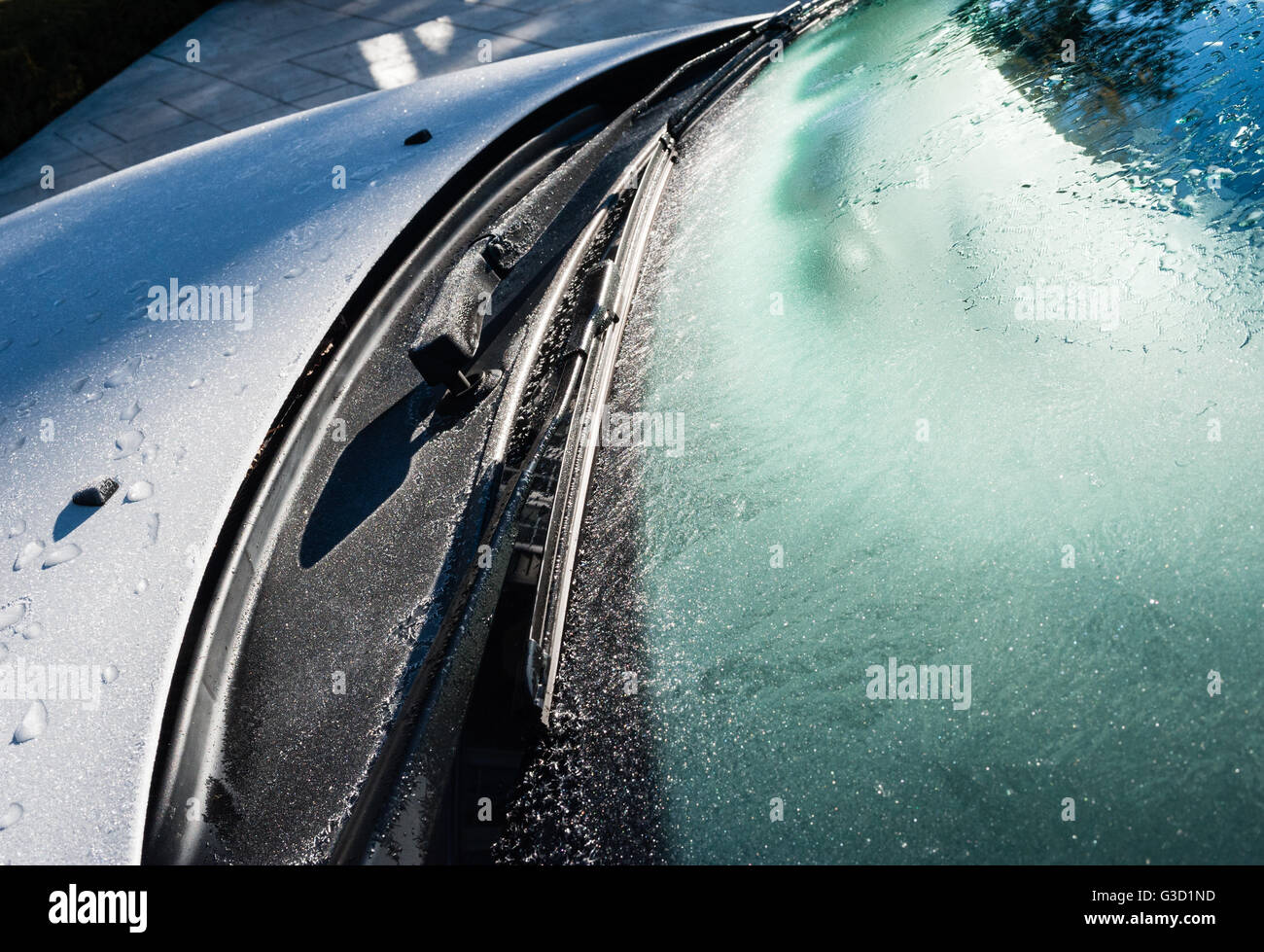 Pare-brise et les essuie-glaces de voiture givrée en hiver, commençant à fondre, et partiellement ombragée un capot de voiture. Banque D'Images