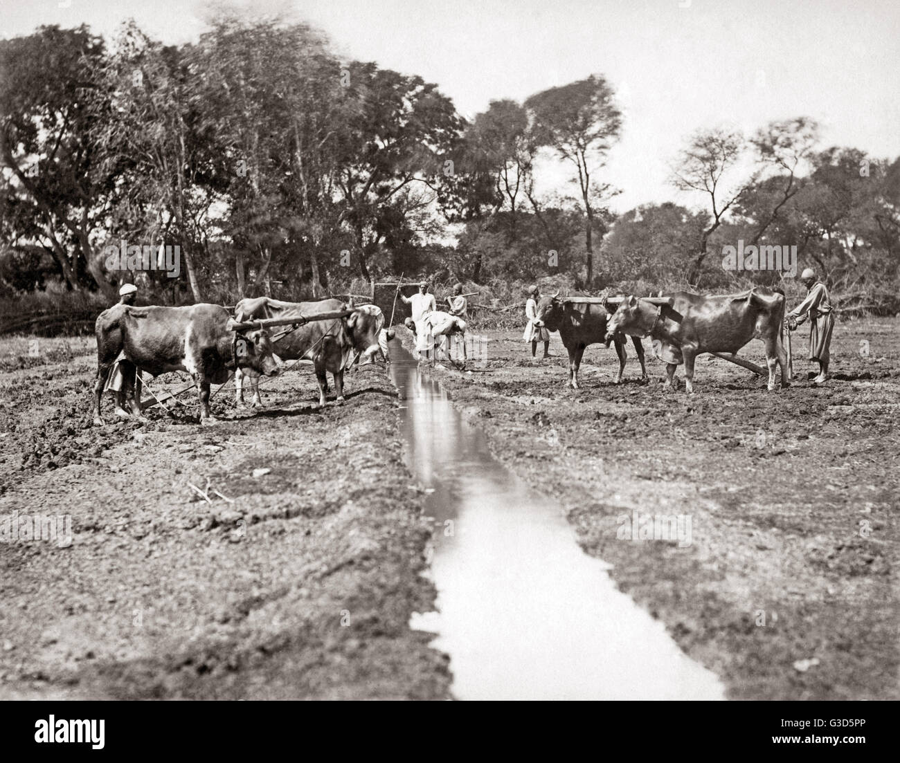 Creuser un fossé d'irrigation, Égypte, vers 1880s Banque D'Images