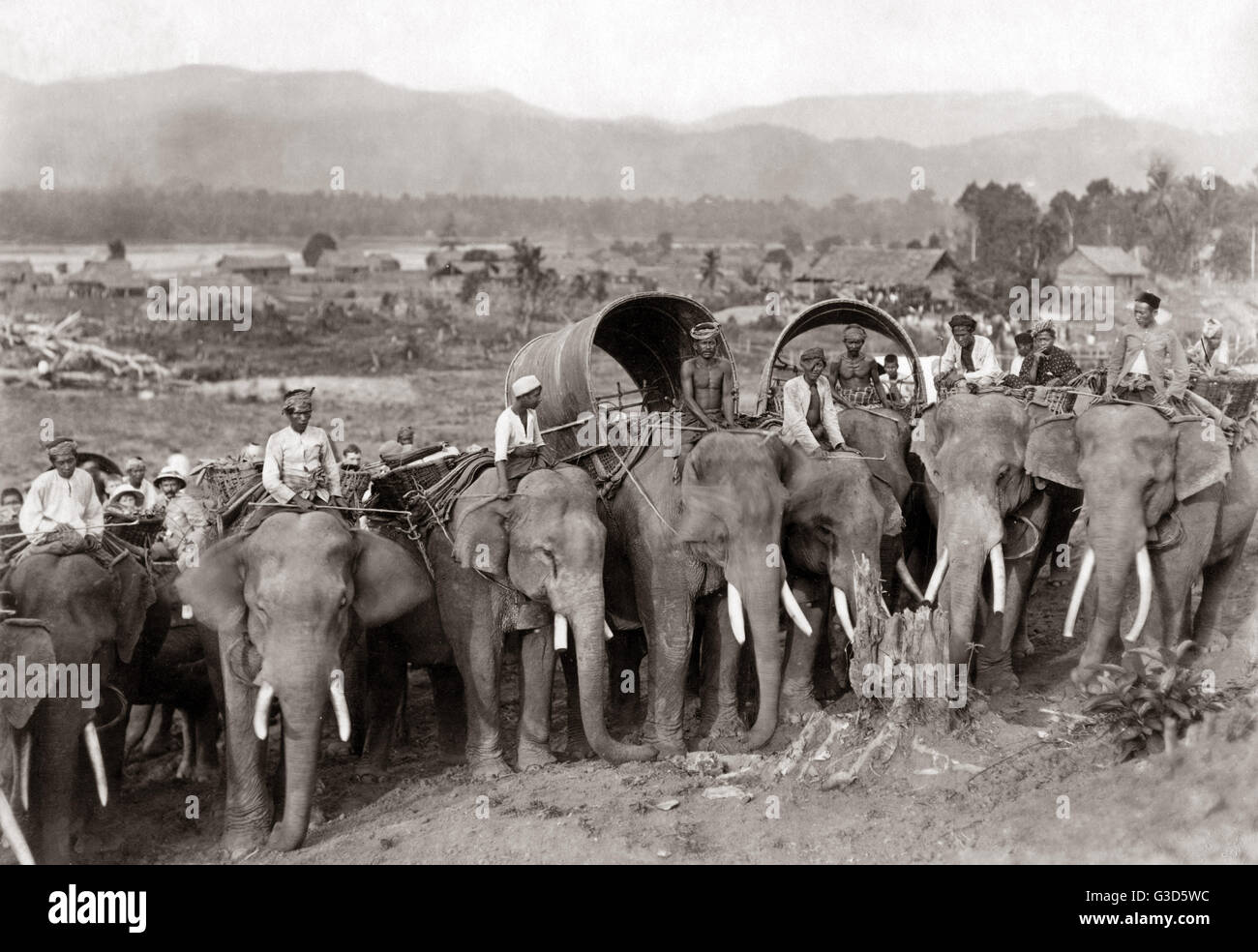 Transporter des éléphants, probablement la Birmanie, vers 1880s Banque D'Images