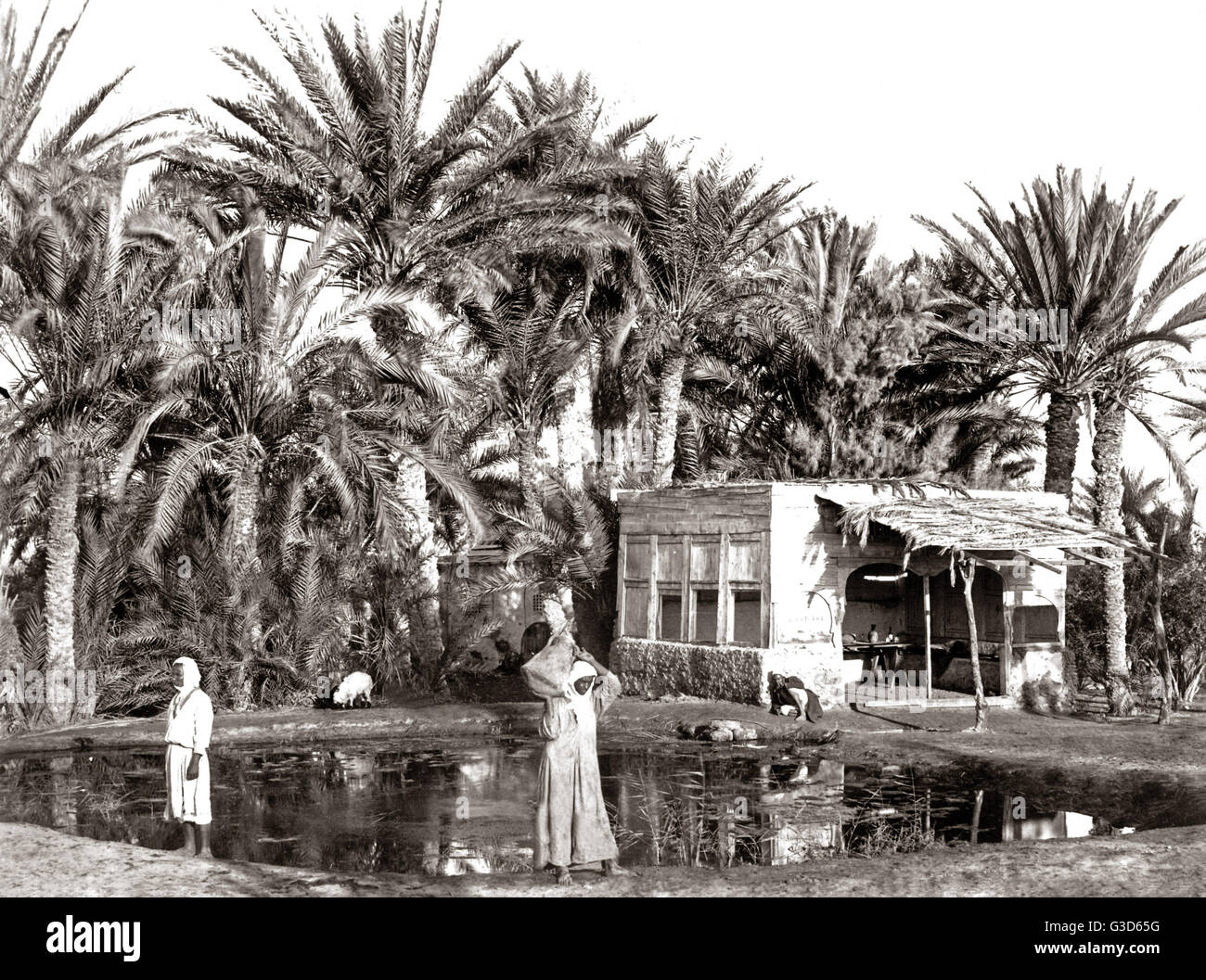 Puits de Moïse dans le Sinaï, vers 1880s Banque D'Images