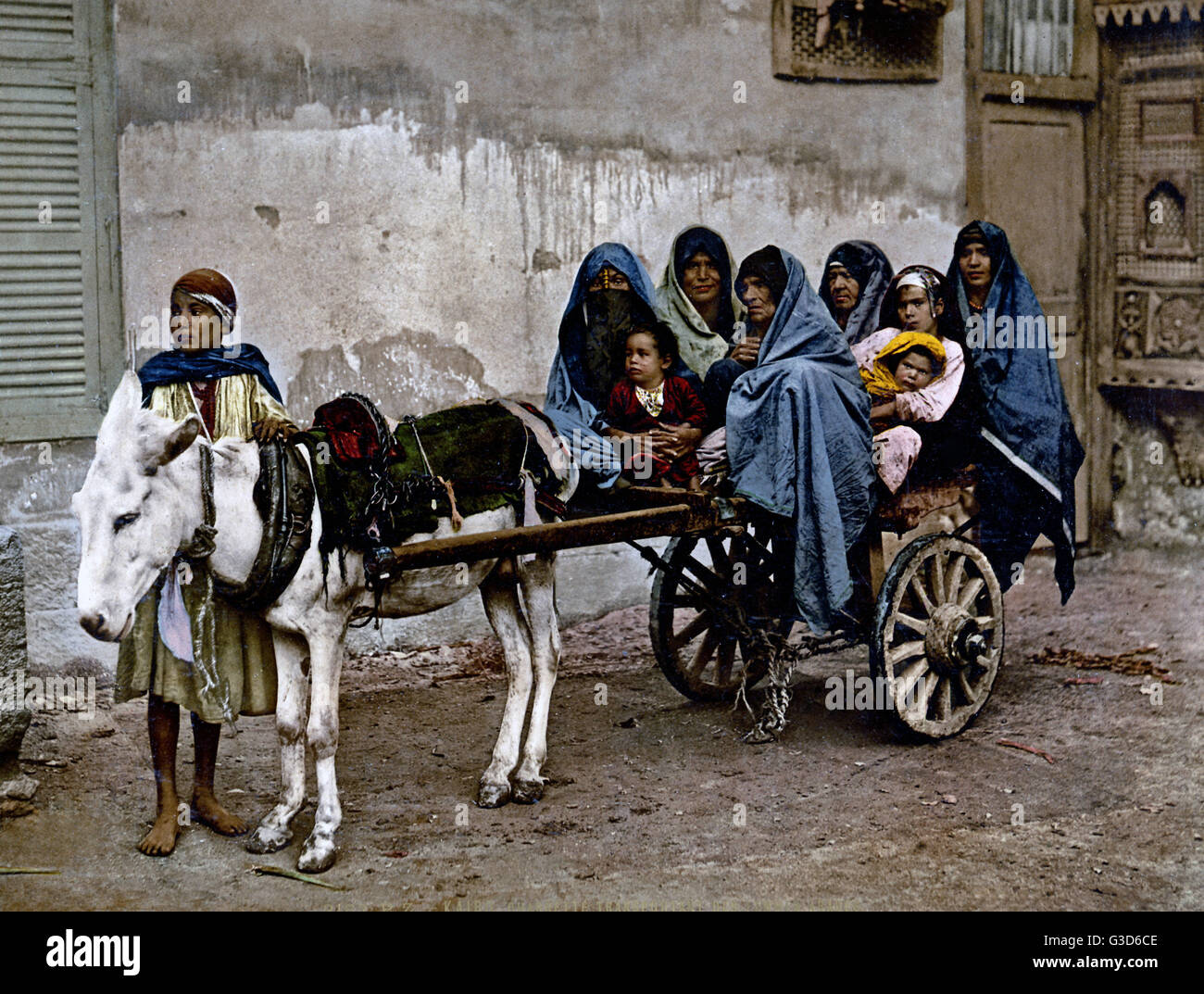 Chariot à âne, Égypte, vers 1890s Banque D'Images