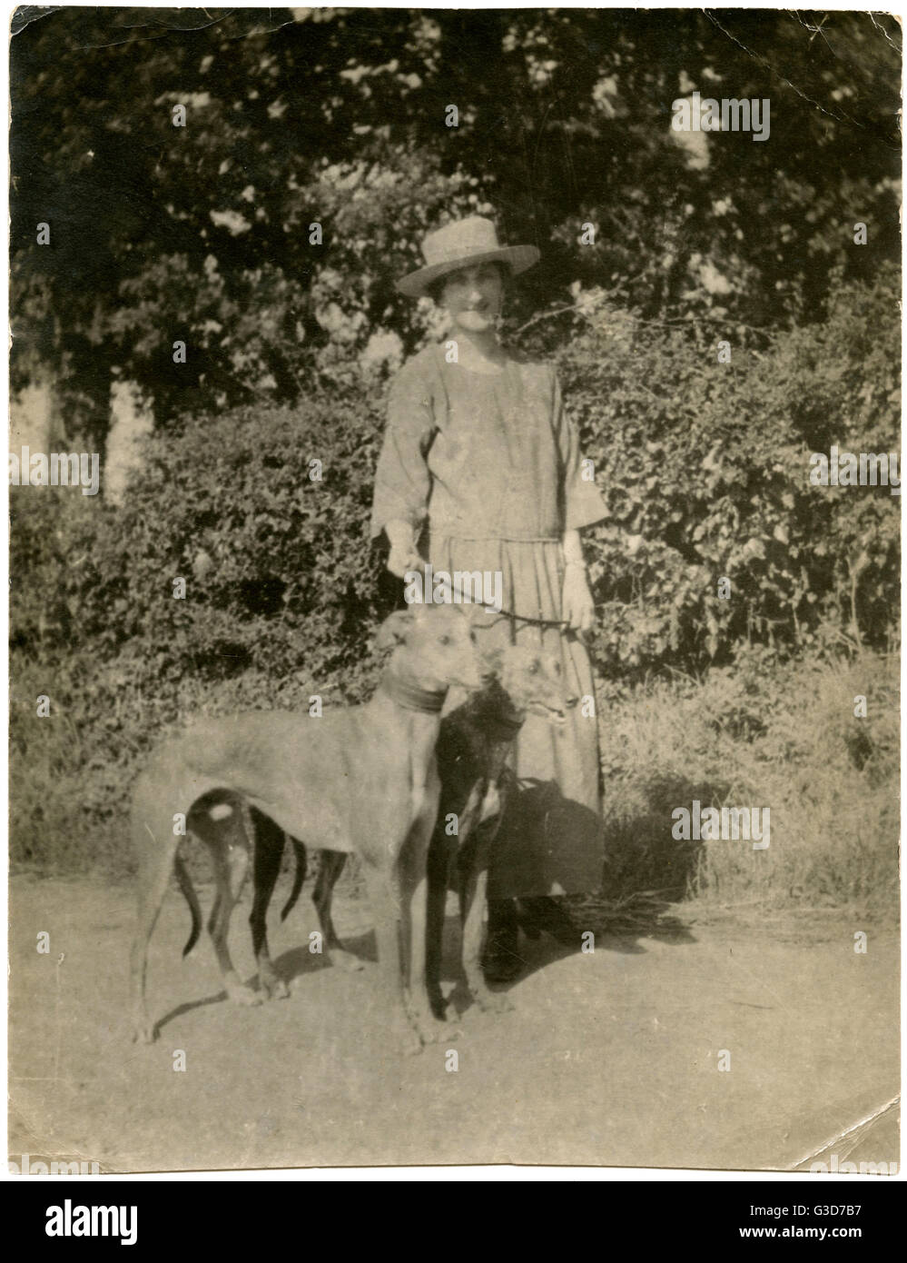 Femme avec deux chiens sur une voie de campagne Banque D'Images