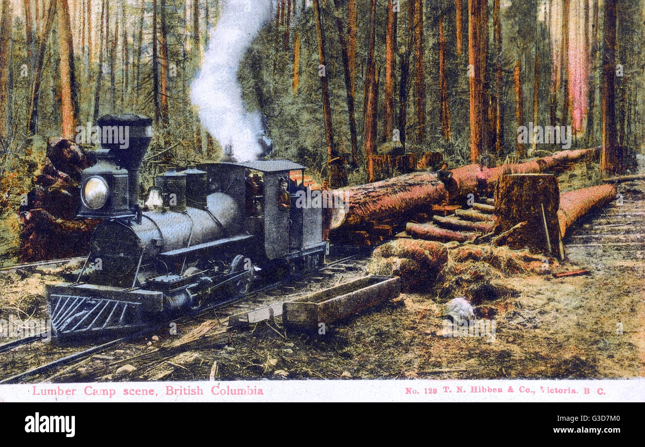 Scène de Camp de bois - train - Colombie-Britannique, Canada Banque D'Images