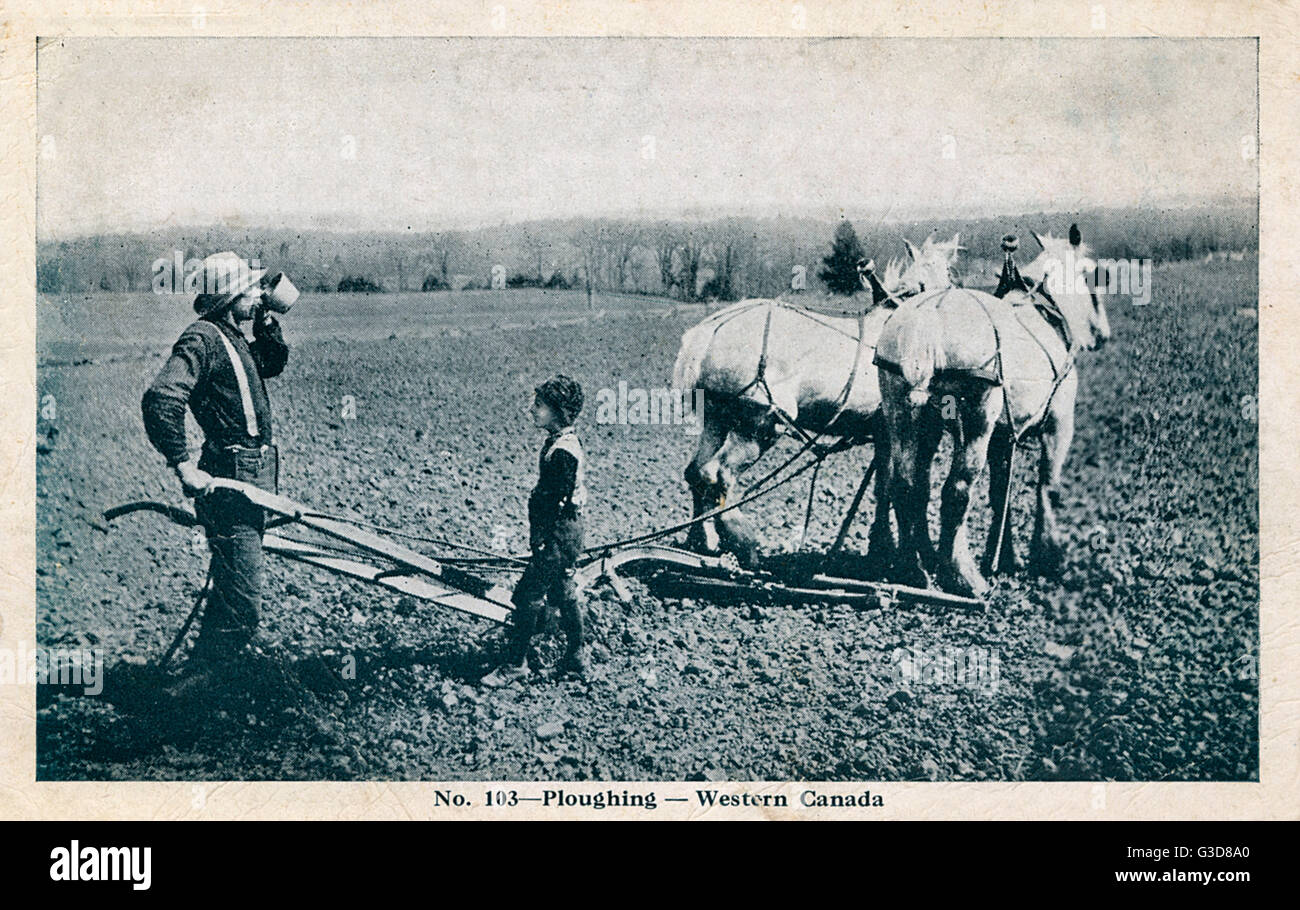 Le labour de l'Ouest canadien - le fermier et son fils prendre une pause Date : 1919 Banque D'Images