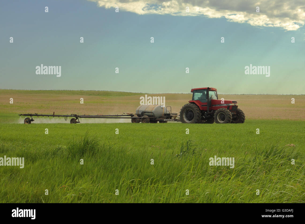 Un agriculteur de pulvériser un champ avec l'aide d'un herbicide Magnum Case IH 7220 tracteur et un pulvérisateur 62 Flexicoil, en Alberta, Canada. Banque D'Images