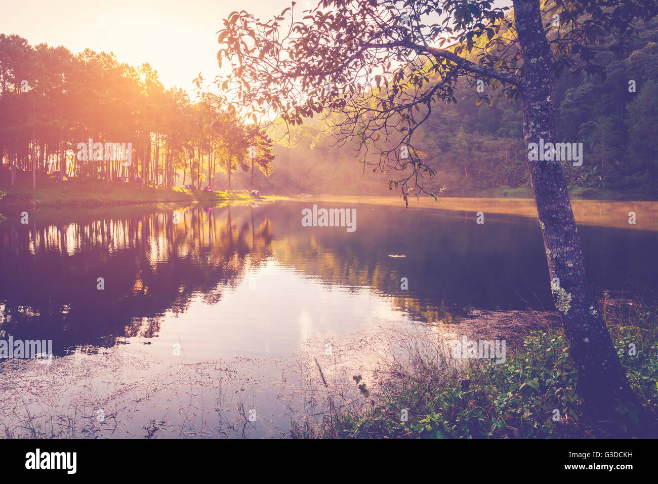 L'eau de bassin et le lever du soleil avec effet vintage. Banque D'Images L'eau de bassin et le lever du soleil avec effet vintage. Banque D'Images