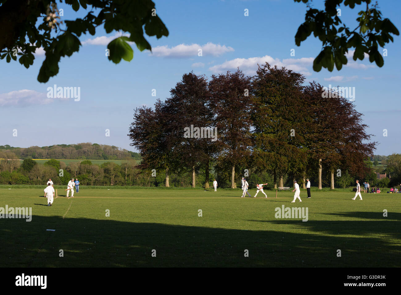 Witchampton CC 1XI par rapport à Marnhull CC 1XI , Samedi, 14 mai, 2016 - Dorset - Angleterre. Banque D'Images
