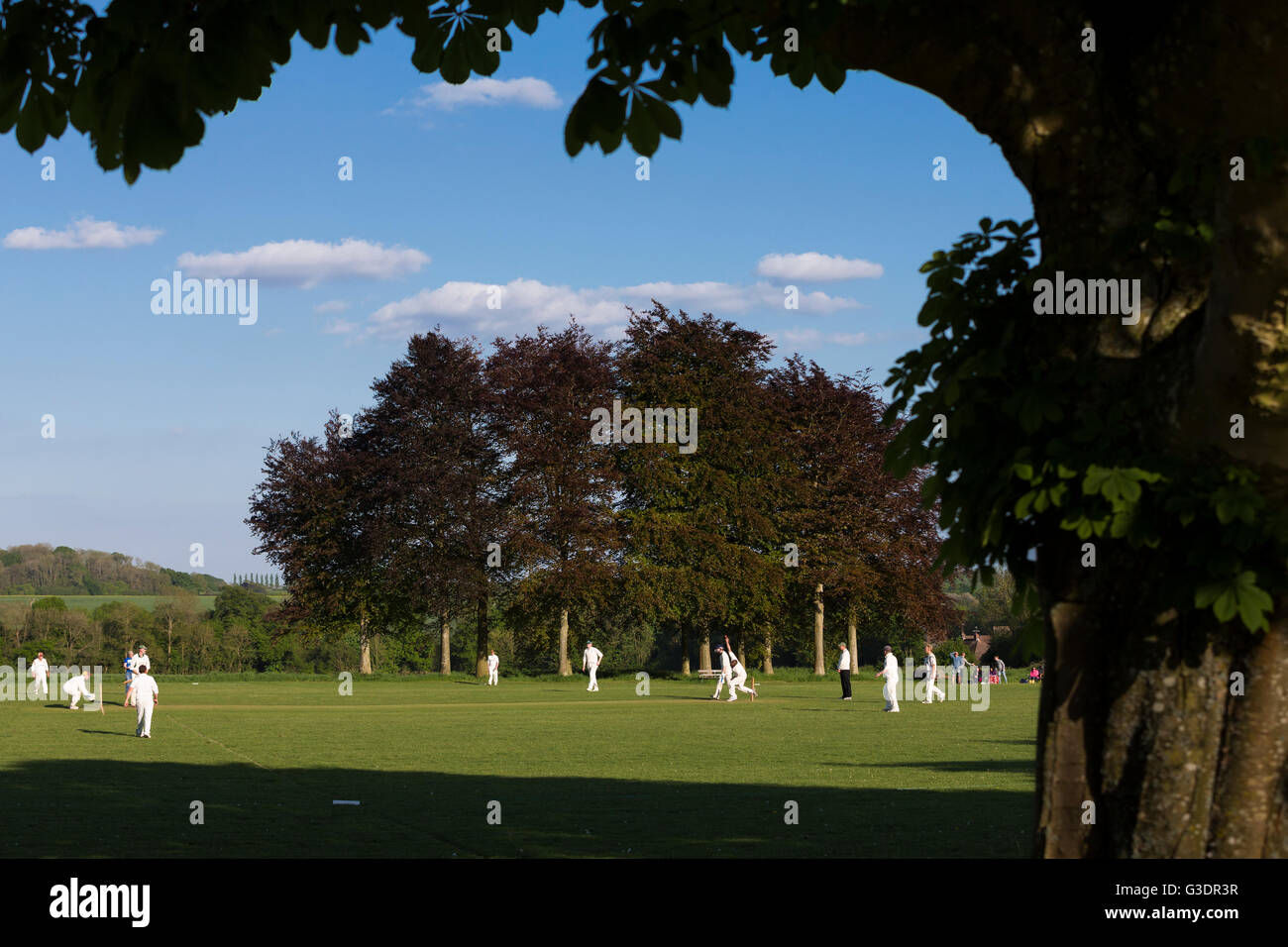 Witchampton CC 1XI par rapport à Marnhull CC 1XI , Samedi, 14 mai, 2016 - Dorset - Angleterre. Banque D'Images