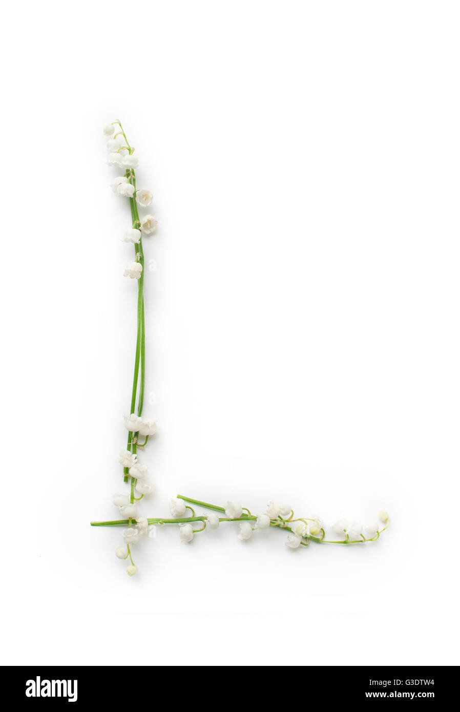 À partir de lettres de l'alphabet anglais fleur décorative créative lettre l. Banque D'Images