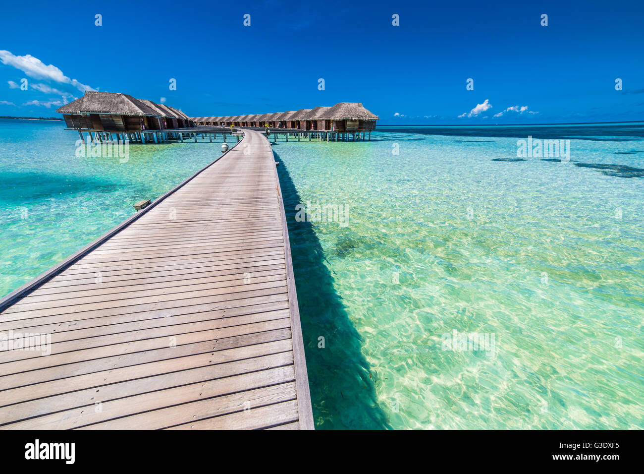 Amazing water villas tropicales et exotiques, sur l'île de luxe, Maldives Banque D'Images