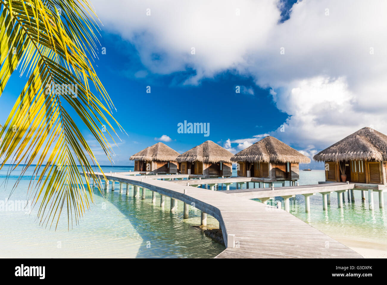 Belle plage aux Maldives. Des vacances travel concept. Banque D'Images