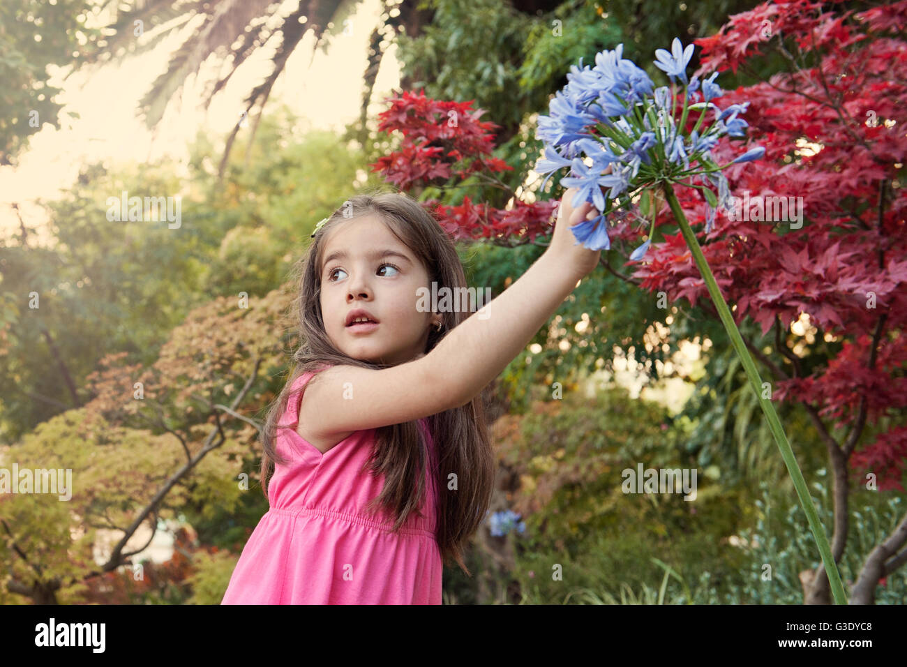 Petite fille dans le jardin de fleurs Banque D'Images