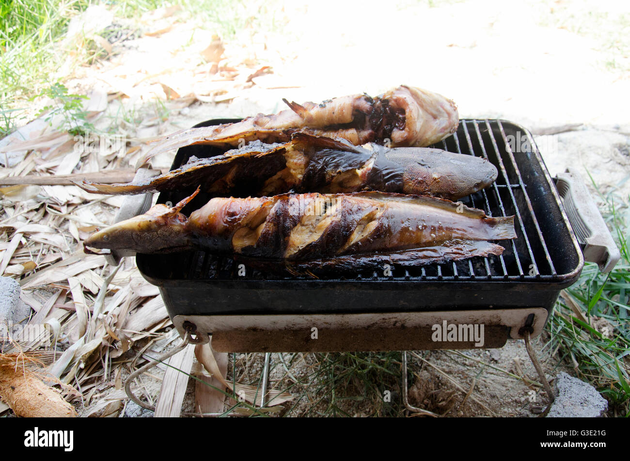 Le Clarias est une espèce de poisson-chat marche thai style frites grillées sur vieille cuisinière Banque D'Images