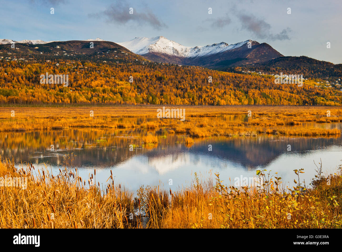 Vue panoramique sur potter Marsh dans le refuge de la faune côtière d'ancrage à l'automne, le centre-sud de l'Alaska Banque D'Images