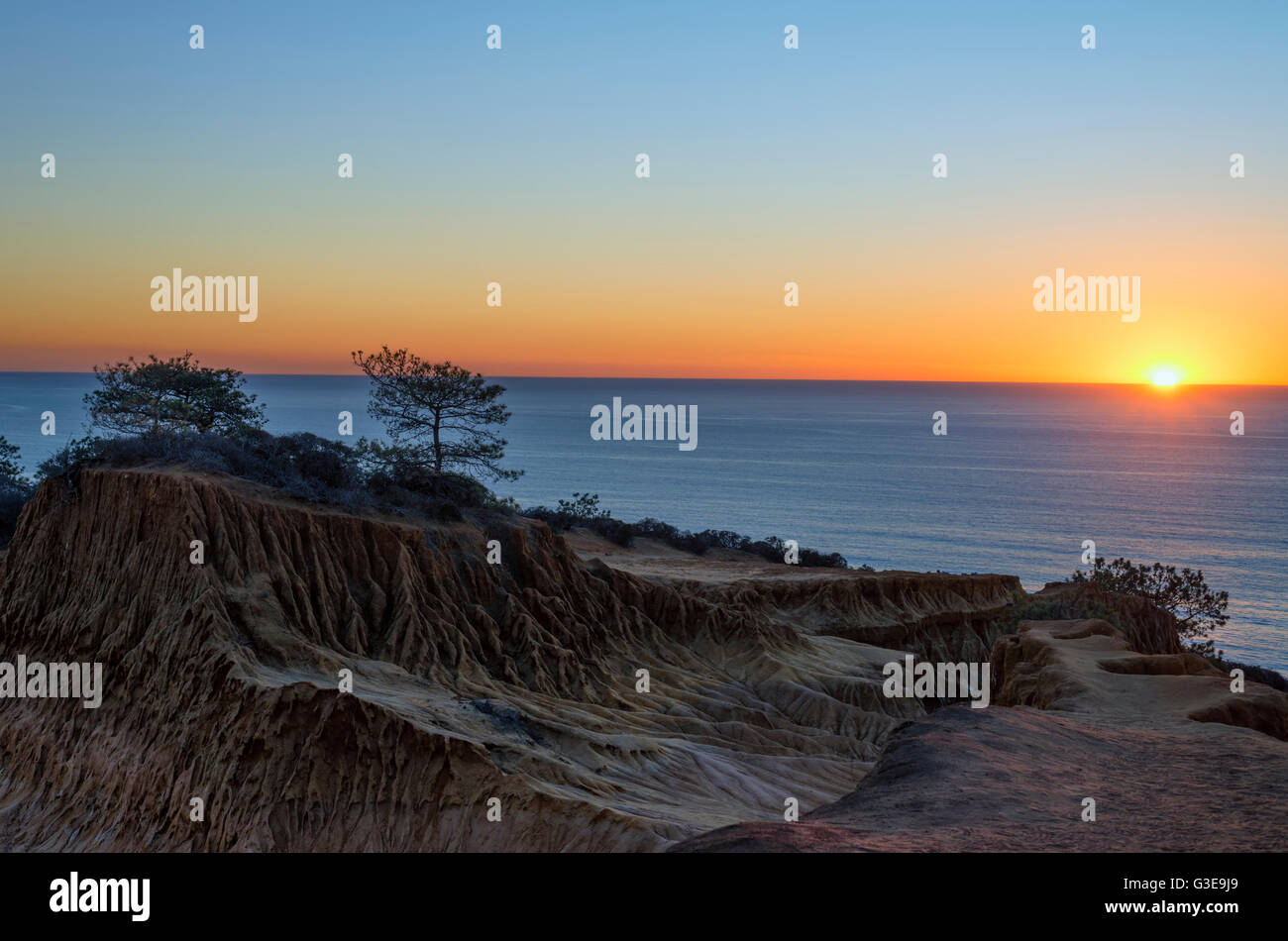 Torrey Pines State Parc Naturel, La Jolla, Californie, USA. Banque D'Images