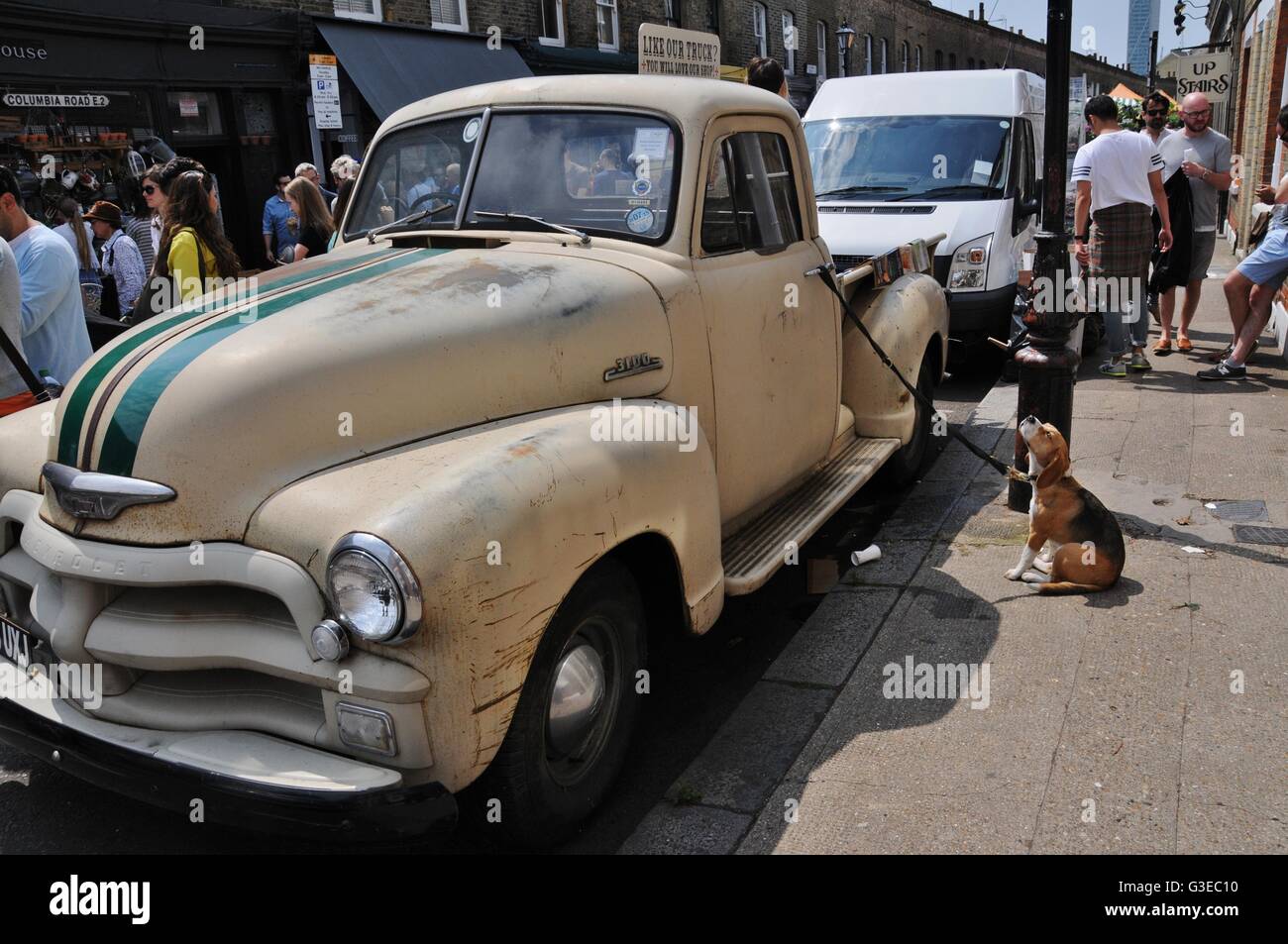 1950 Chevrolet pick up avec chien, dans l'East End londonien. Banque D'Images