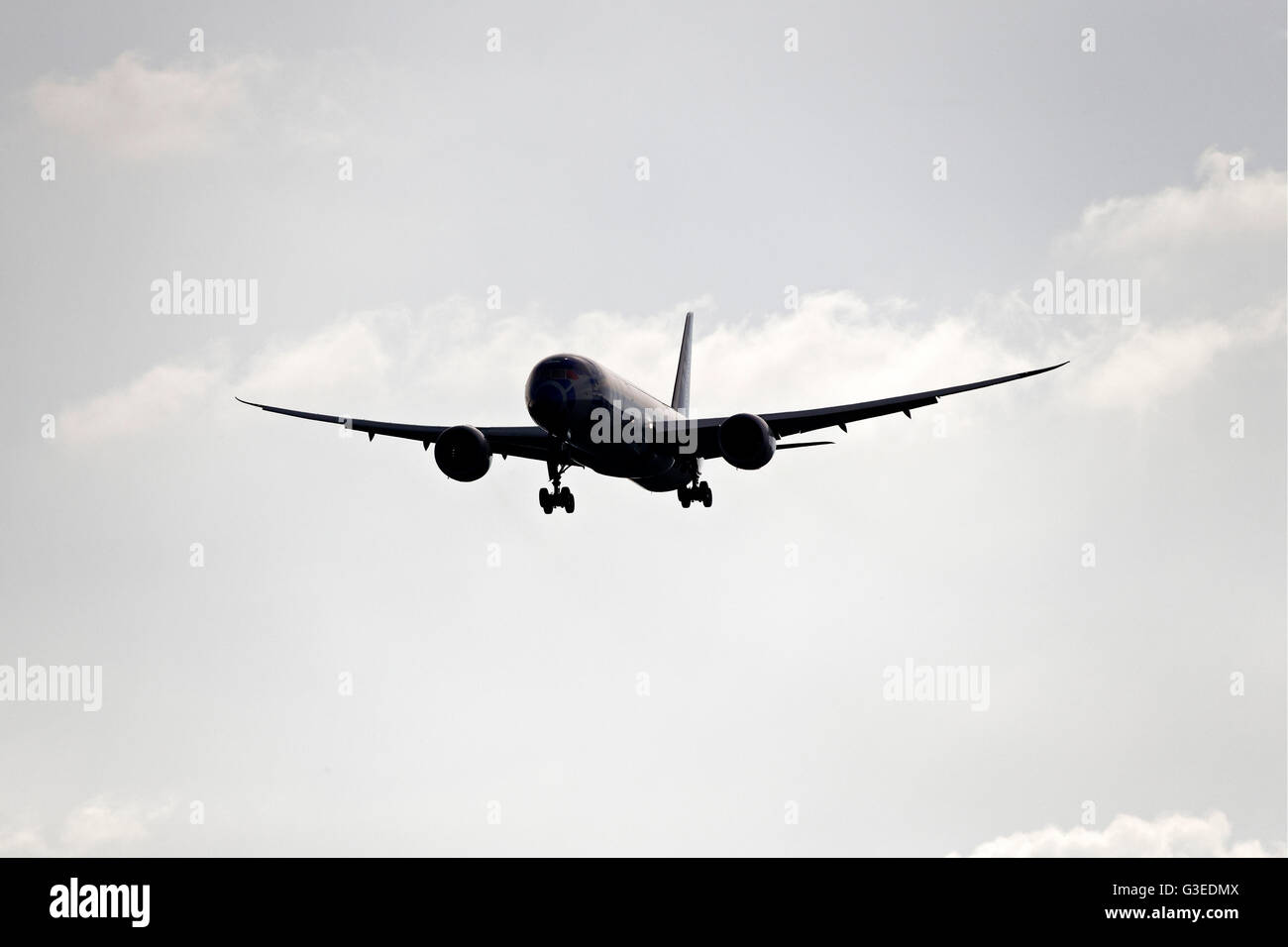 Nippon Airways ANA Boeing 787 9 avions de transport de passagers, sur l'approche à l'atterrissage à l'aéroport Franz Josef Strauss, Munich, Allemagne Banque D'Images