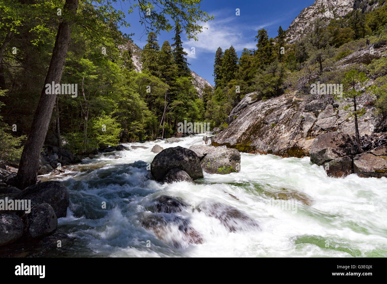 Les eaux de ruissellement du printemps s'écoule par la branche sud de la Kings River au-dessus de la Brume tombe dans le Parc National Kings Canyon Banque D'Images