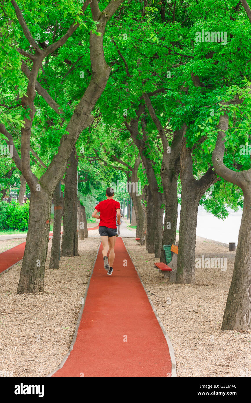 Parc de course d'homme, vue arrière d'un homme qui court sur la piste de jogging qui entoure l'île Margaret (Margit-sziget) à Budapest, Hongrie. Banque D'Images