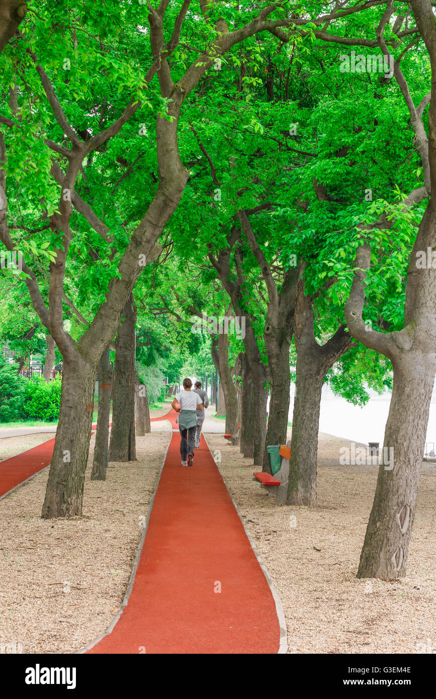 L'île Marguerite de Budapest, un runner jogging le long du chemin qui entoure l'île Margit-sziget à Budapest, Hongrie. Banque D'Images