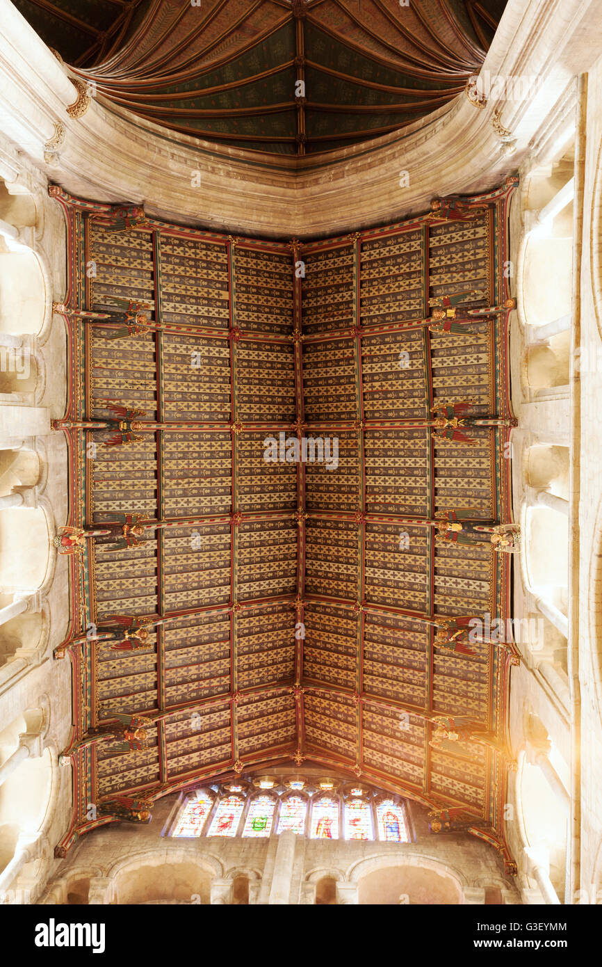 Le 15e siècle hammer-faisceau toit du transept sud avec le vol des anges, de l'intérieur de la cathédrale d'Ely, Ely Cambridgeshire UK Banque D'Images