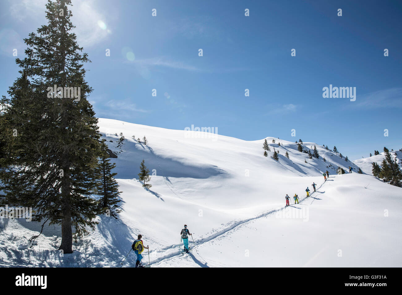Splitboard, un groupe est de grimper Banque D'Images