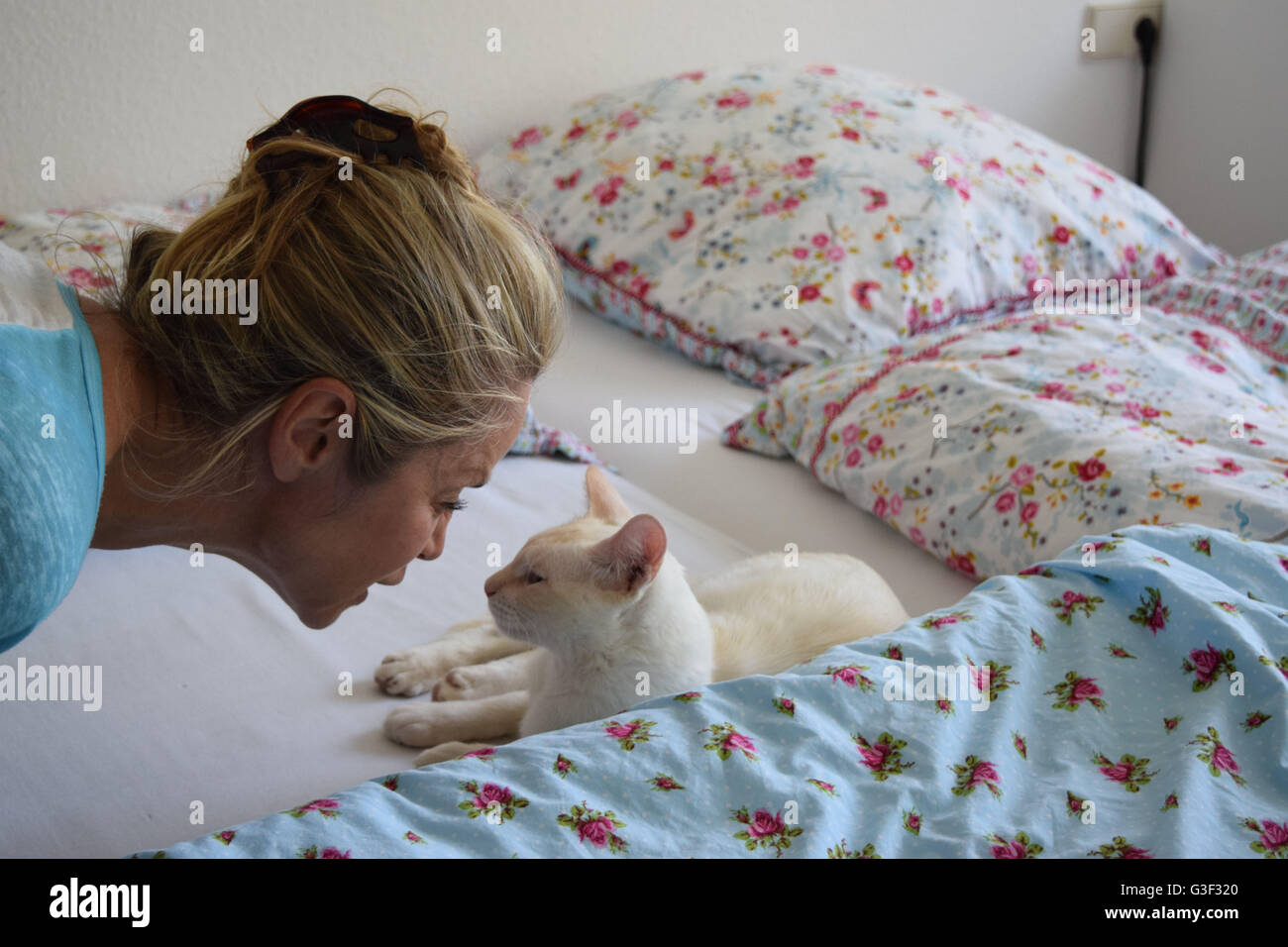 Femme parle avec cat Banque D'Images