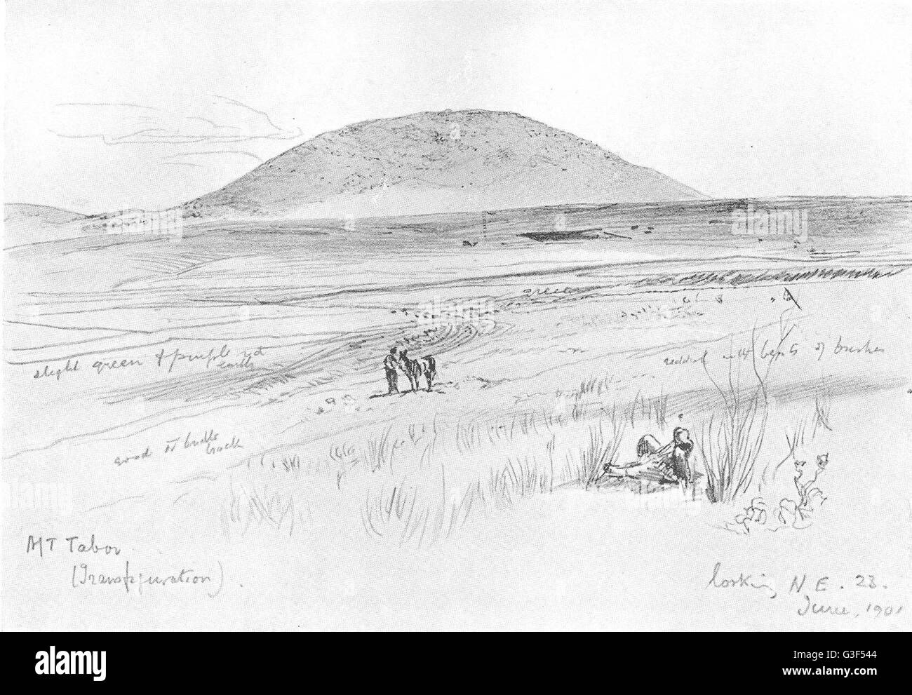 Israël : le Mont Thabor, antique print 1902 Banque D'Images