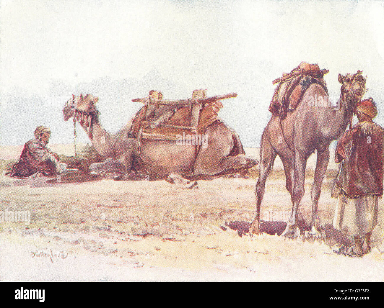 Israël : étude des chameaux et les accompagnateurs, antique print 1902 Banque D'Images