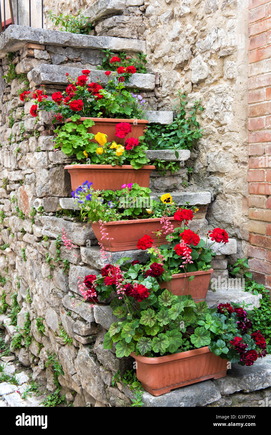 Pots de fleurs poussant sur des vieux escaliers en pierre d'extérieur à l'extérieur d'une ancienne maison de ville en pierre Banque D'Images