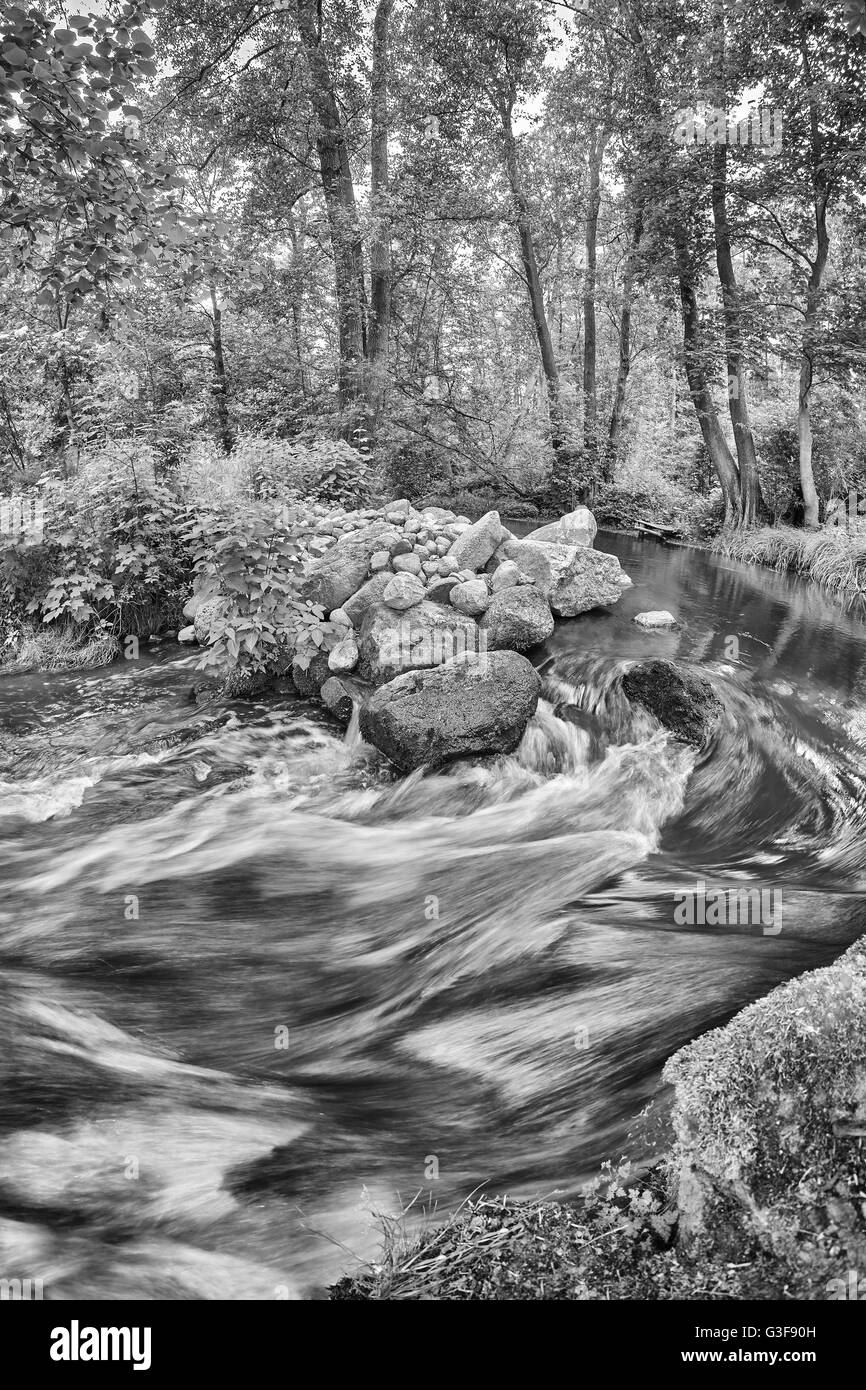 Image noir et blanc d'une forêt de River Bend, de l'eau en mouvement. Banque D'Images