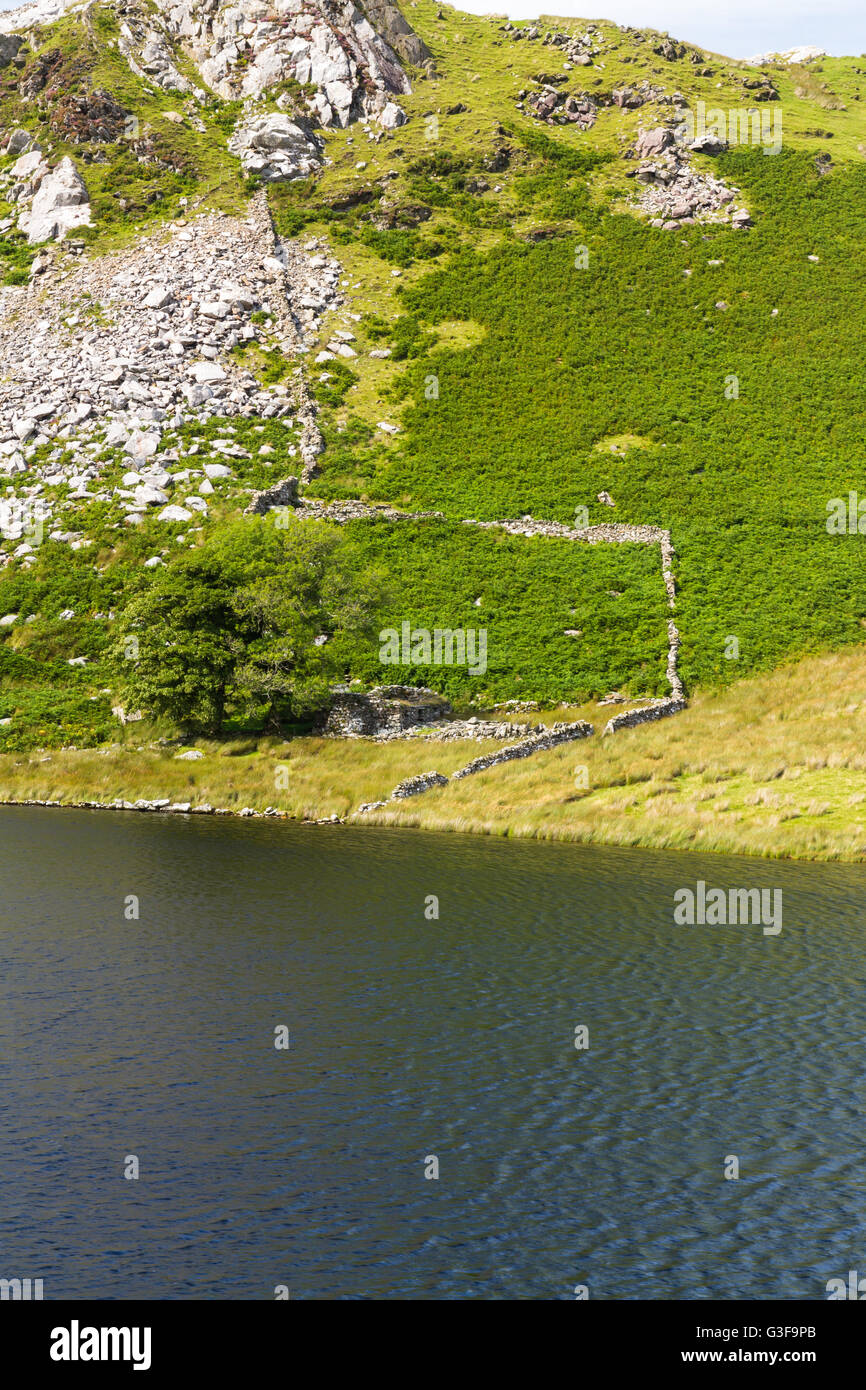 Mur de pierres sèches qui serpente dans la montagne jusqu'au bord du lac. Snowdonia, Pays de Galles, Royaume-Uni Banque D'Images