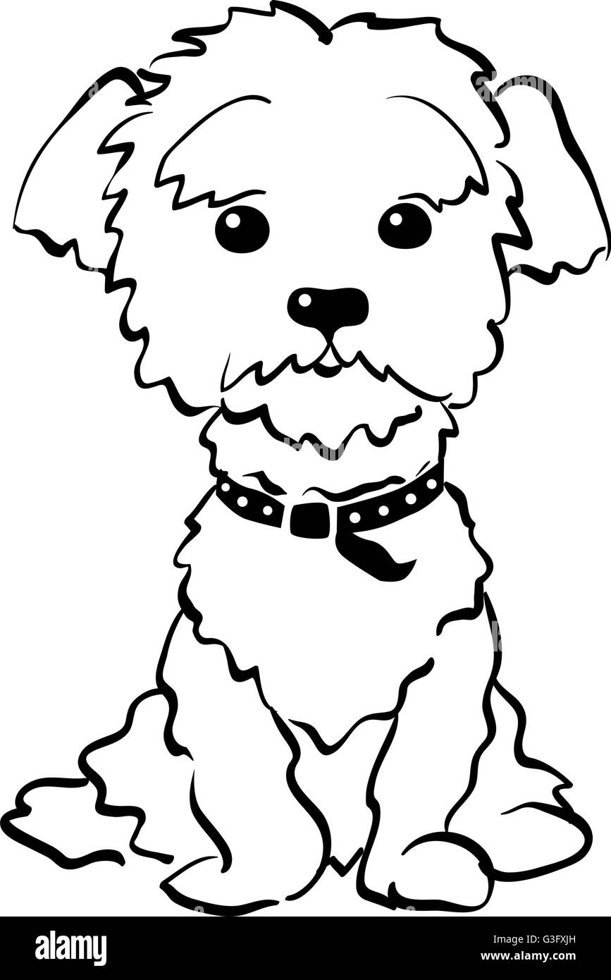 Dessin vectoriel funny maltese dog sitting Illustration de Vecteur